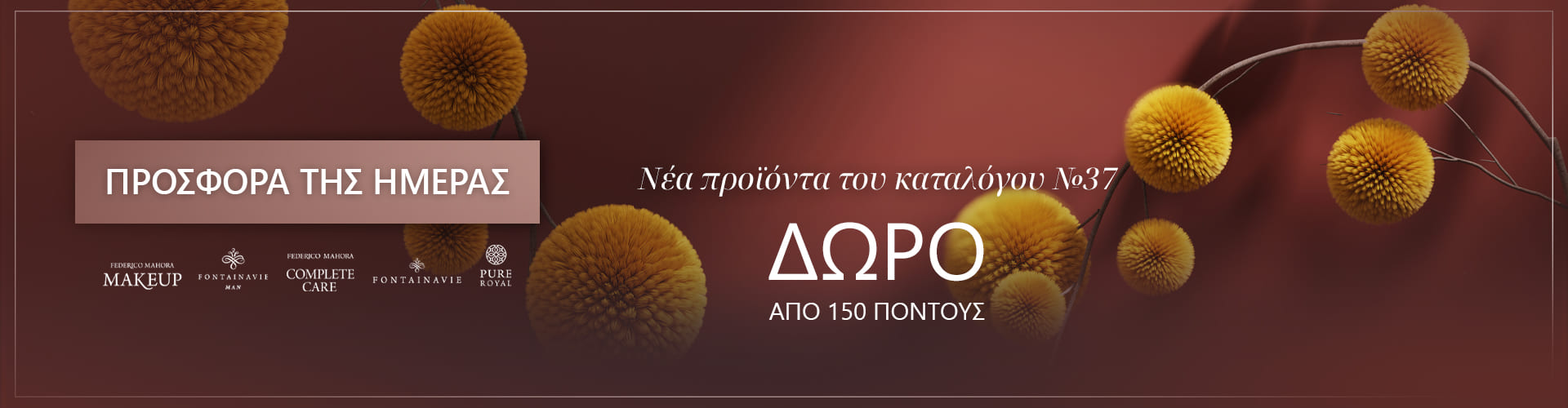 ΠΡΟΣΦΟΡΑ ΗΜΕΡΑΣ