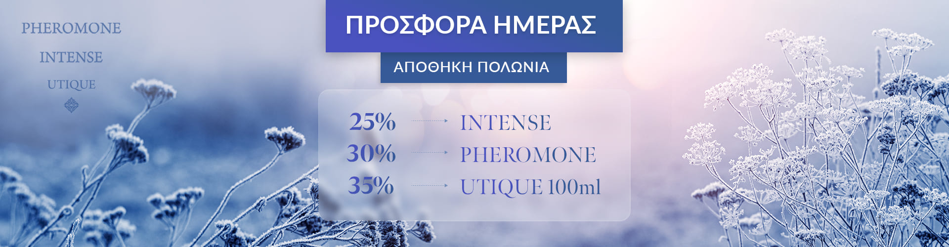 ΠΡΟΣΦΟΡΑ ΗΜΕΡΑΣ ΑΠΟΘΗΚΗ ΠΟΛΩΝΙΑΣ
